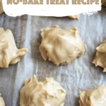 Moose on the Loose No-Bake Treat Recipe