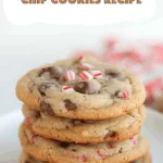 Peppermint Chocolate Chip Cookies Recipe