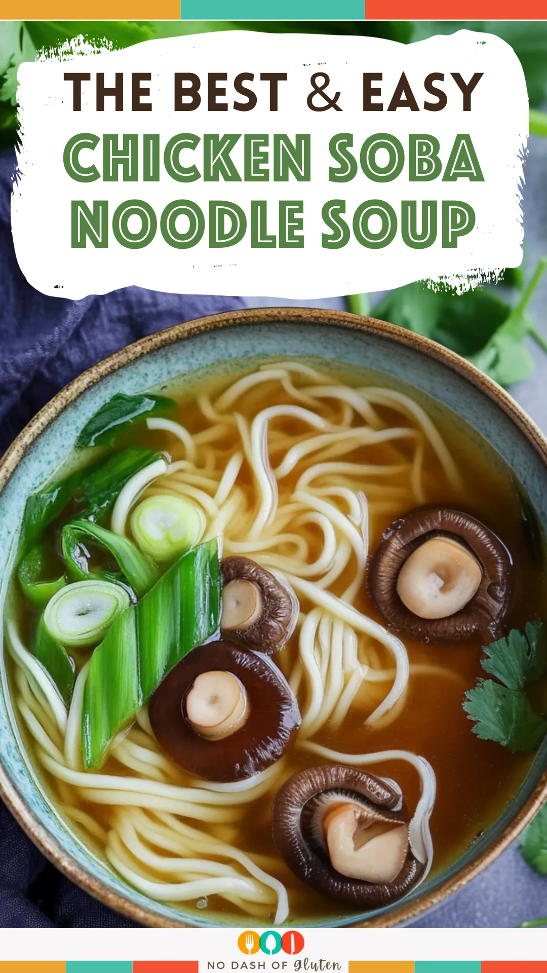 Chicken Soba Noodle Soup