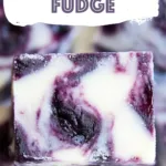 Blueberry Fudge