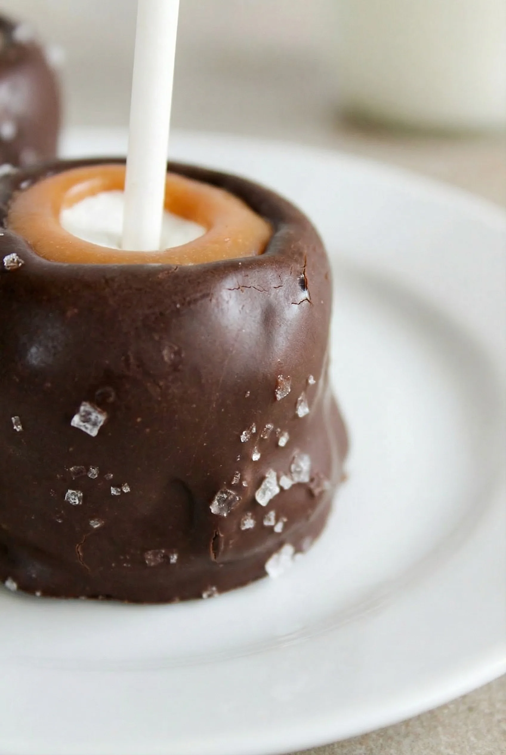 Close-up of soft marshmallow pieces coated in a smooth chocolate layer.