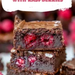 Rich Fudgy Brownies with Raspberries