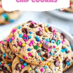 Sprinkle Chocolate Chip Cookies
