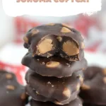sticky paws williams sonoma copycat